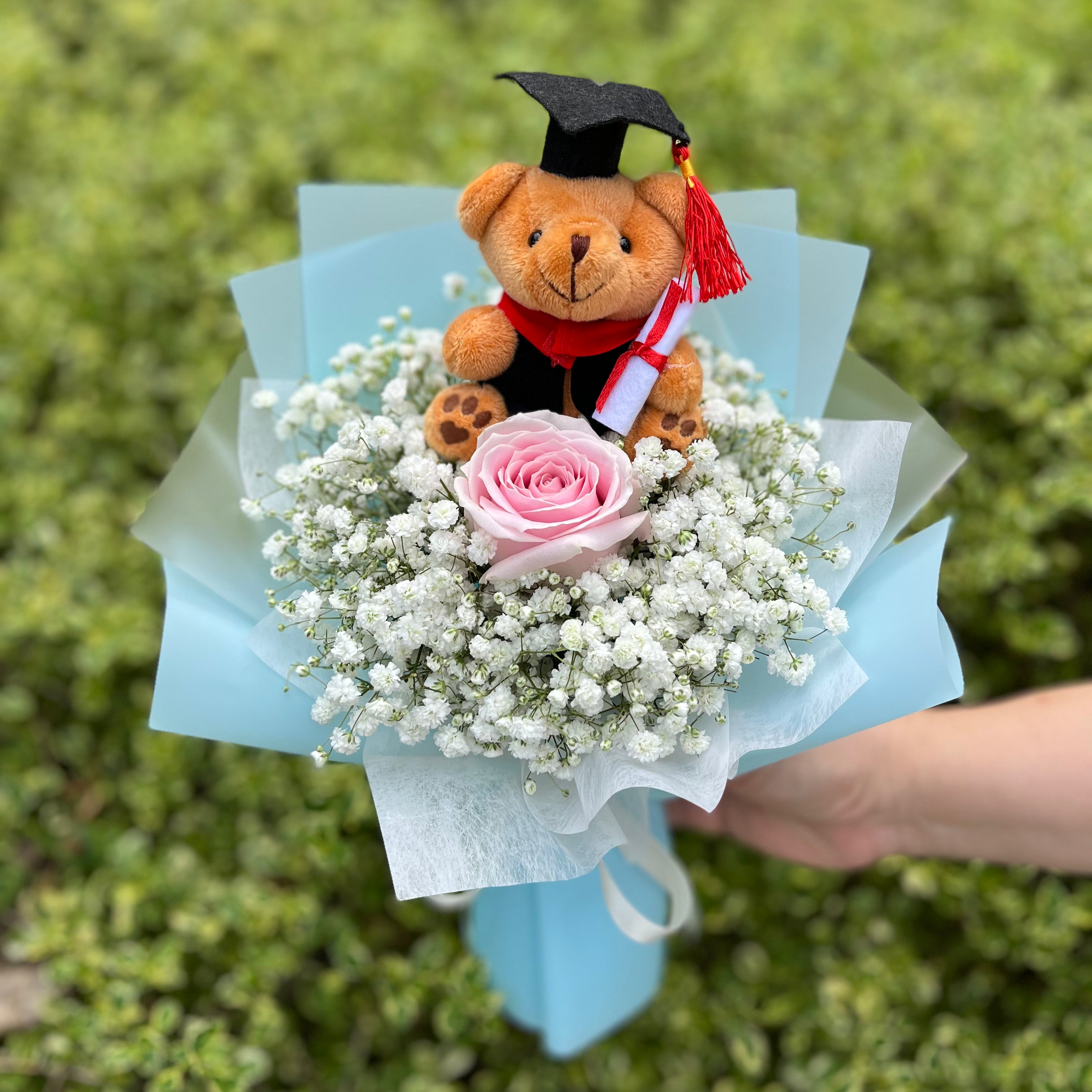 G2 Single rose baby s breath with graduation bear Cool Petals