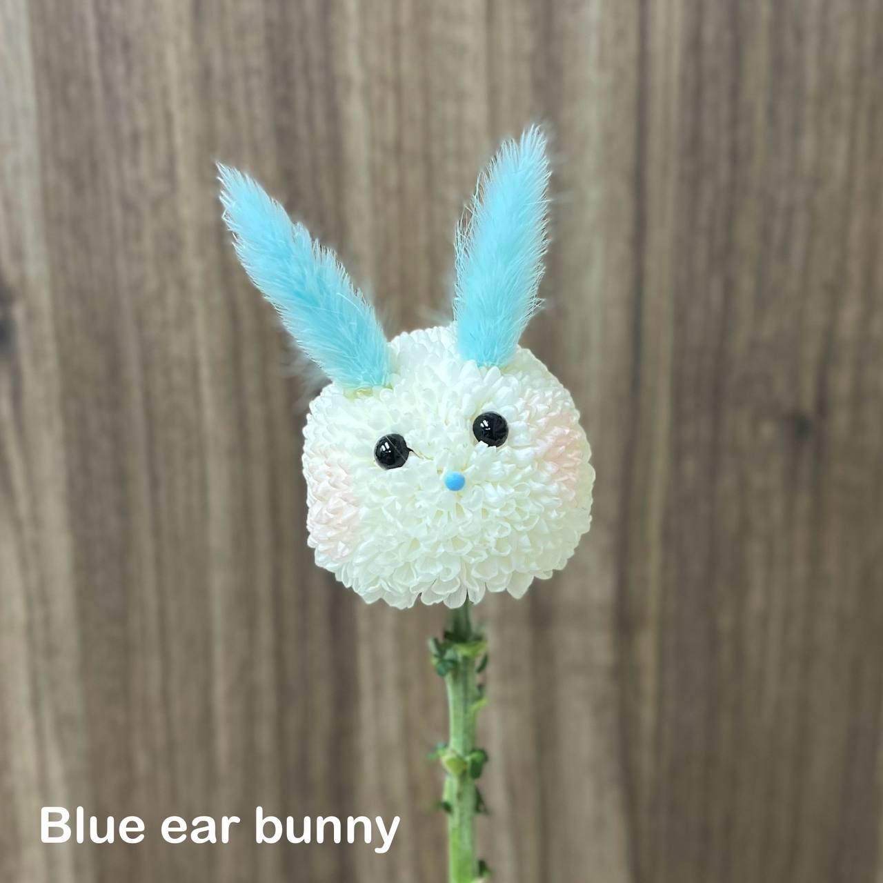 BRANDONTAN TEST PRODUCT